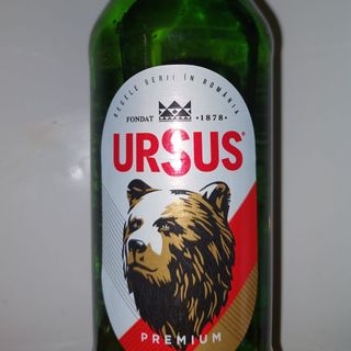 BERE URSUS