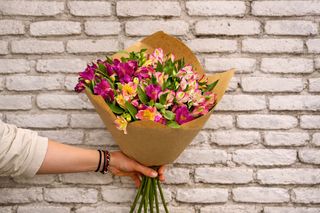 ალსტრომერიის თაიგული 10 ტოტი