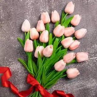 20 tulipani rosa 