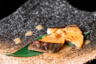 BACALAO NEGRO CON MISO SAIKYO