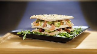 Arctic Sandwich