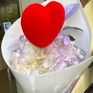 Hortensia lavanda 1 tallo , 1 corazón y un ruscus 