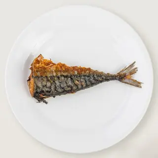 Extra Titus Fish