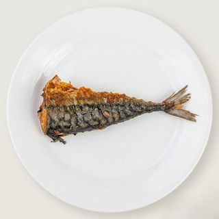 Extra Titus Fish