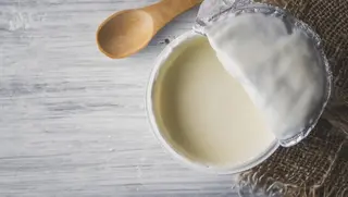 Jogurt