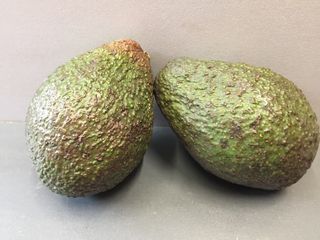 Авокадо