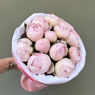 13 peonias 
