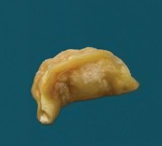 4. Ravioli al carne - 4 pezzi