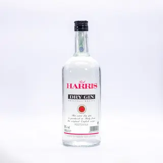 Gin Dry Formato 1l