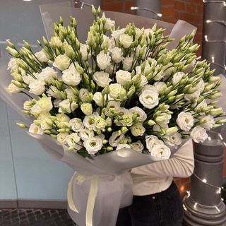 Eustoma 21szt w opakowaniu 