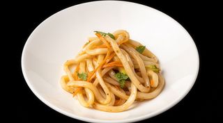 -156-Tori Udon