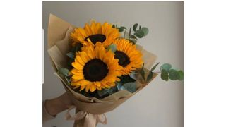 მზესუმზირა