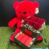 Boxes cadeau 