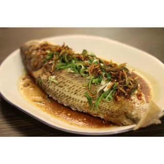 Steamed Fresh Fish
