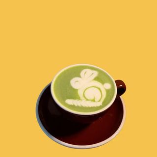Matcha