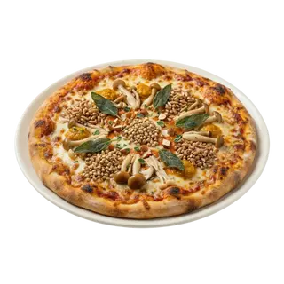 Pizza Especial Kashi