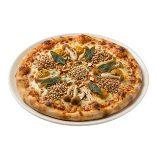 Pizza Especial Kashi