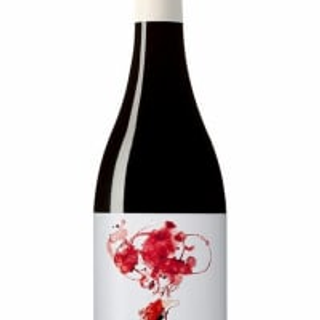 Vino tinto Jaspi - Montsant