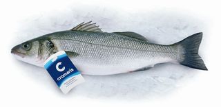 Brancin cijeli (800-1000g) 109.99kn/kg