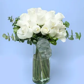 10 Rosas Blancas