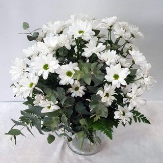 Ramo de margaritas blancas