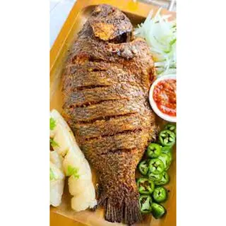 E Tilapia