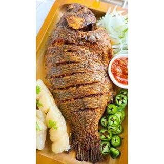 E Tilapia