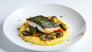 Macrou prăjit cu mămăliguța ciuperci sote și usturoi