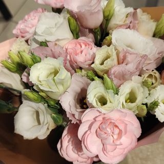 Bukiet eustoma +goździk 