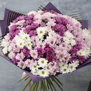 Ramo de Margaritas Mix