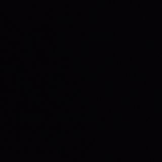 Gambas Con Champiñones