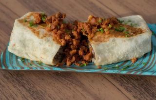 Burro Espacial Catrina