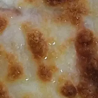 Garlic Nan