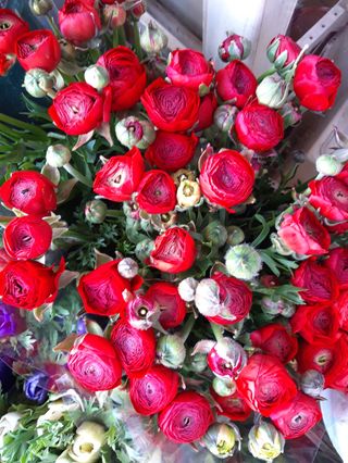 Bouquet di 10 ranocoli rosso