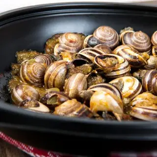 Caracoles