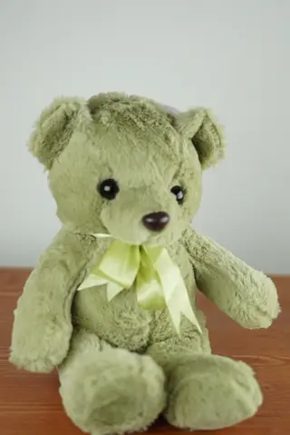 TEDDY BEAR 