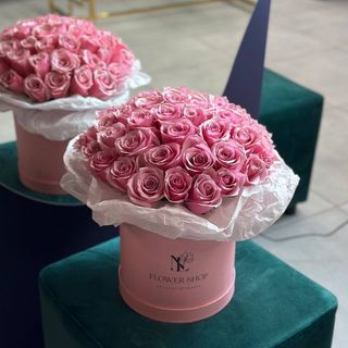 51 поцілунок 