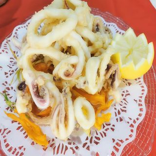 Calamar Nacional Romana