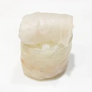 119. WHITE FISH