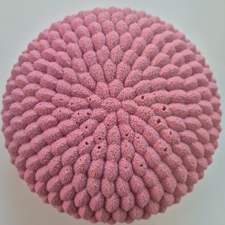 Tort Eclat Fruitrouges