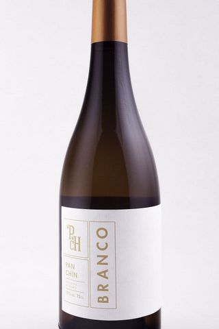 Panchin Branco Lexitimo