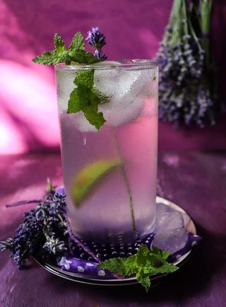 Lavande Mojito