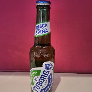 Tuborg 33CL