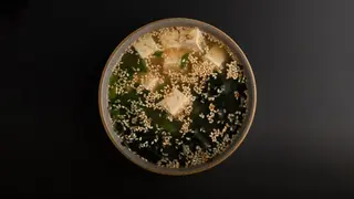 Zupa Miso z łososiem (300 ml)