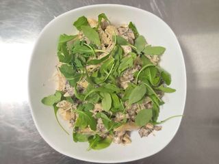 Funghi
