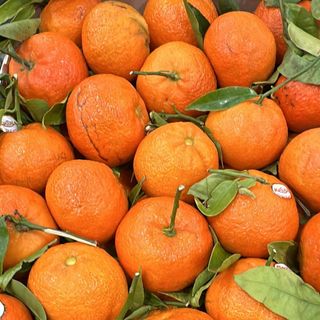 Clementini extra prima scelta