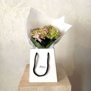 Hortensia rosada en planta