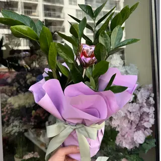 Zamiokulkas 40 cm