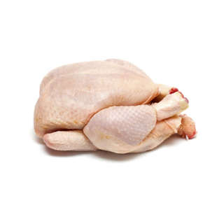 Extra De Pollo