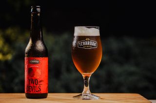 Pivo Two devils 0.33l